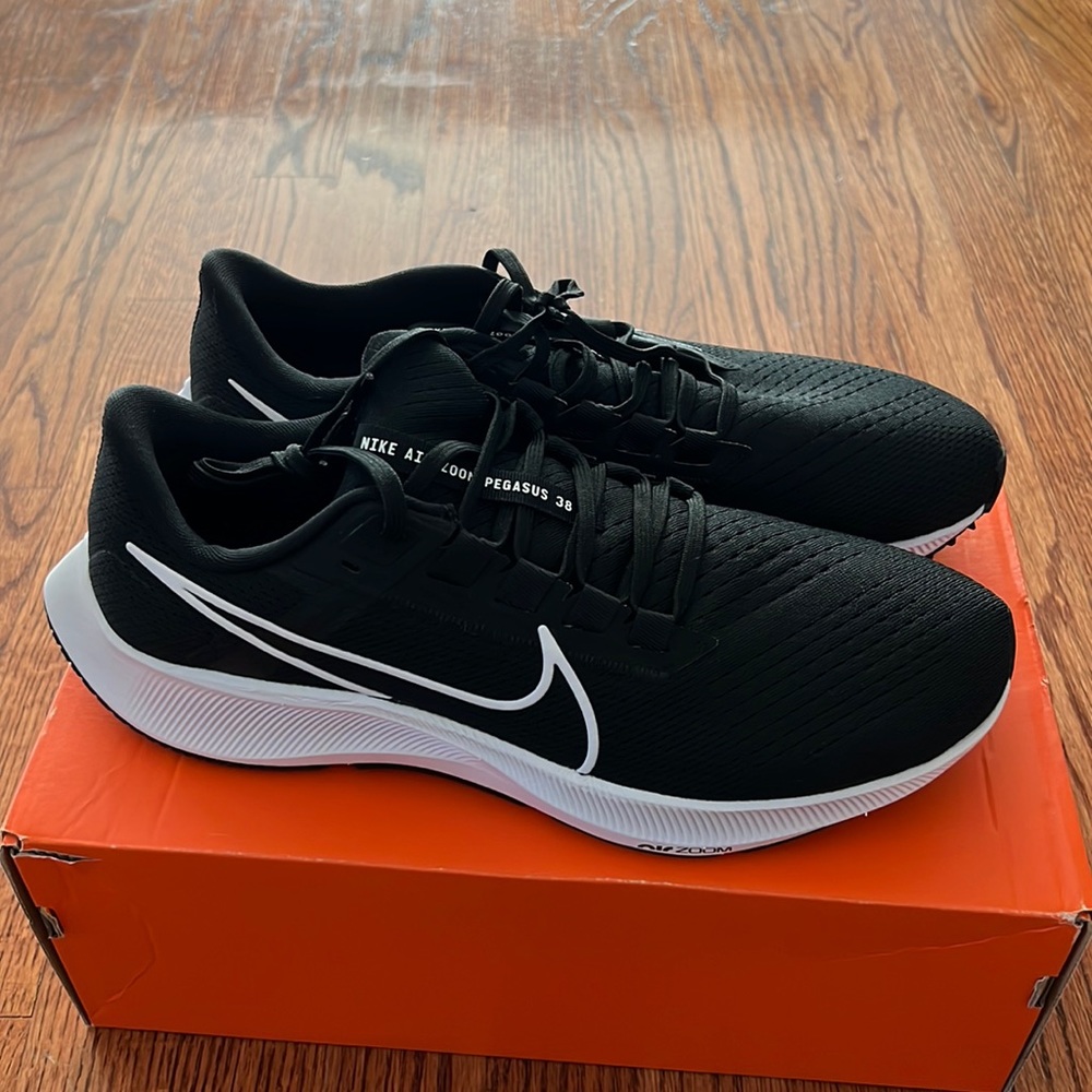 Mens Nike air Pegasus 10.5